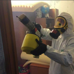 Уничтожение клопов в квартире. Шумерля